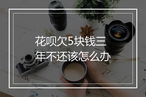 花呗欠5块钱三年不还该怎么办