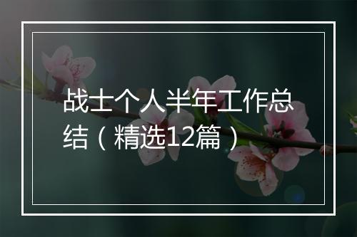 战士个人半年工作总结（精选12篇）