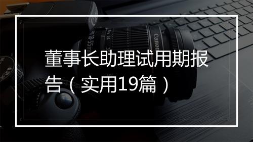 董事长助理试用期报告（实用19篇）