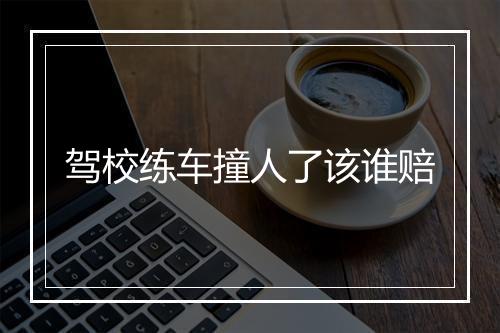 驾校练车撞人了该谁赔