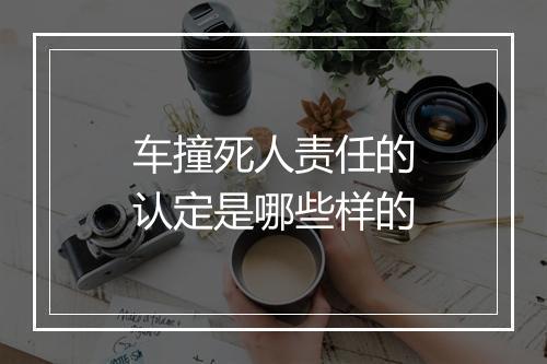 车撞死人责任的认定是哪些样的