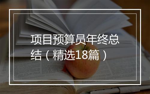 项目预算员年终总结（精选18篇）