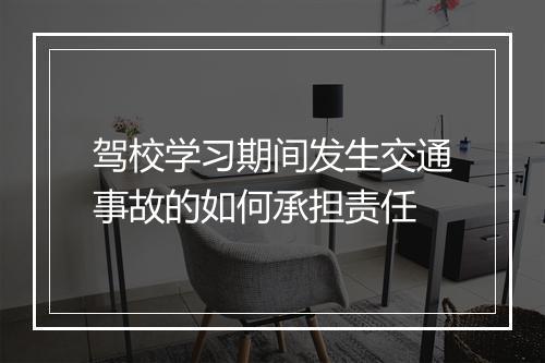 驾校学习期间发生交通事故的如何承担责任