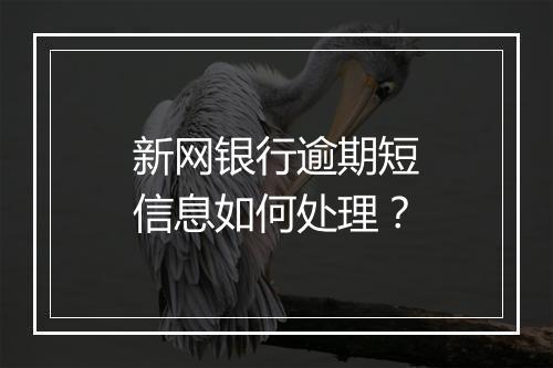 新网银行逾期短信息如何处理？