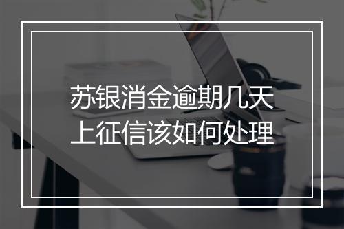 苏银消金逾期几天上征信该如何处理