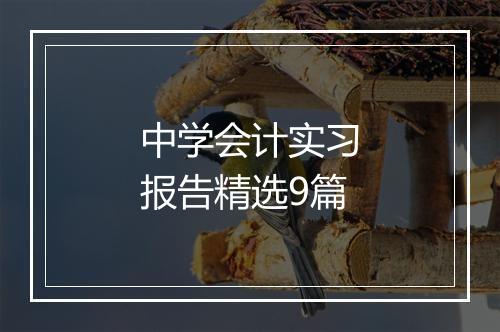 中学会计实习报告精选9篇