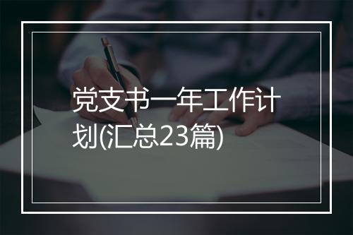 党支书一年工作计划(汇总23篇)
