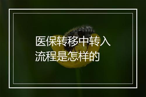 医保转移中转入流程是怎样的