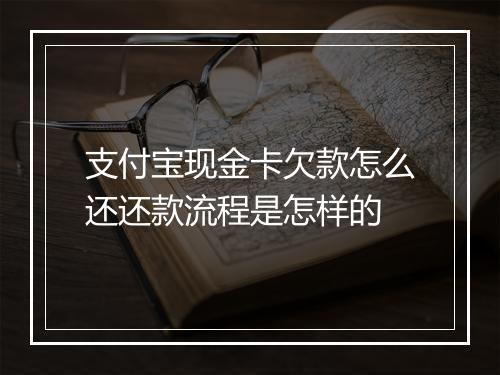 支付宝现金卡欠款怎么还还款流程是怎样的