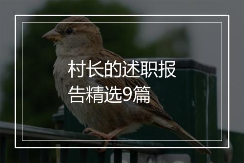村长的述职报告精选9篇