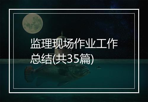 监理现场作业工作总结(共35篇)