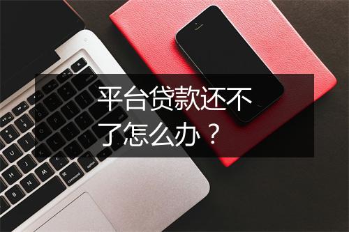 平台贷款还不了怎么办？