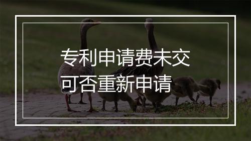 专利申请费未交可否重新申请