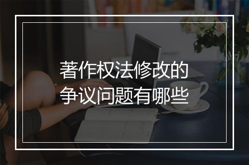著作权法修改的争议问题有哪些