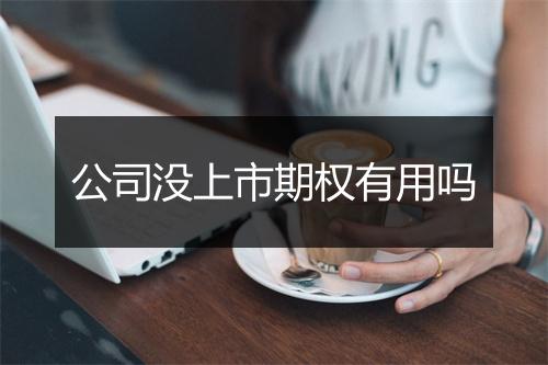 公司没上市期权有用吗