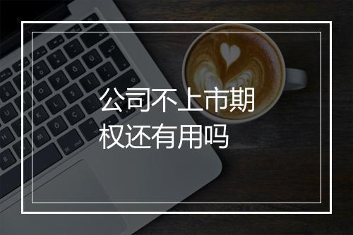 公司不上市期权还有用吗