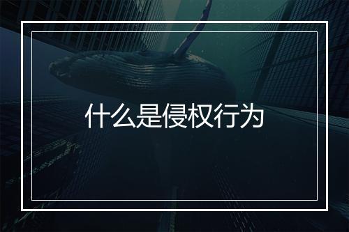 什么是侵权行为