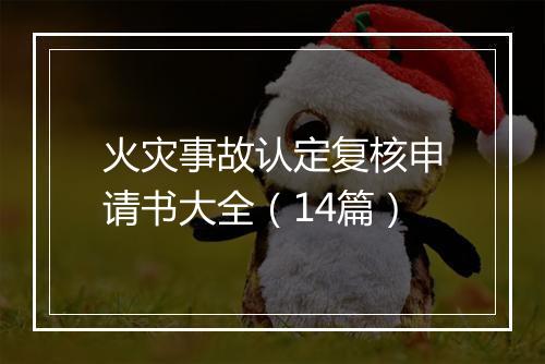 火灾事故认定复核申请书大全（14篇）