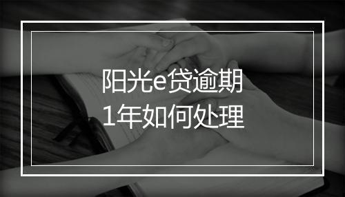阳光e贷逾期1年如何处理