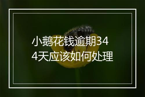 小鹅花钱逾期344天应该如何处理