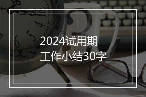 2024试用期工作小结30字