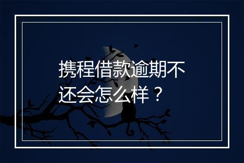 携程借款逾期不还会怎么样？