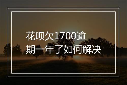 花呗欠1700逾期一年了如何解决