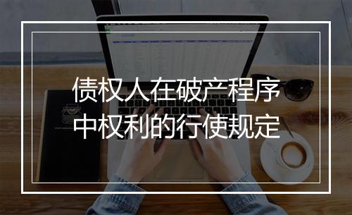 债权人在破产程序中权利的行使规定