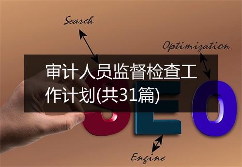 审计人员监督检查工作计划(共31篇)