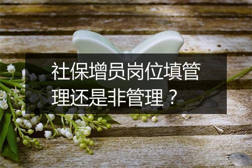 社保增员岗位填管理还是非管理？