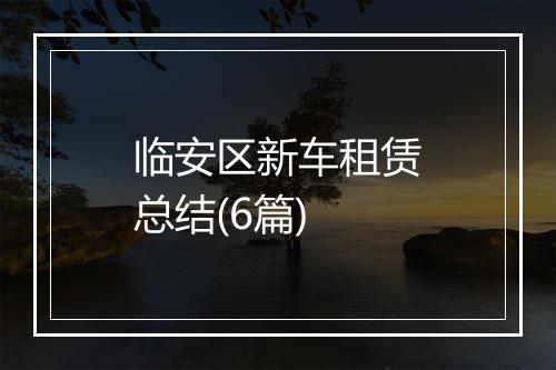 临安区新车租赁总结(6篇)