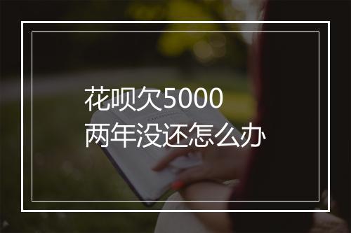 花呗欠5000两年没还怎么办