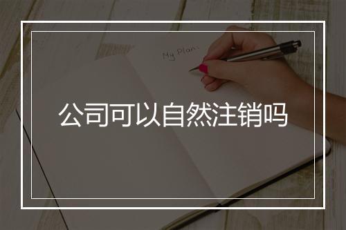 公司可以自然注销吗