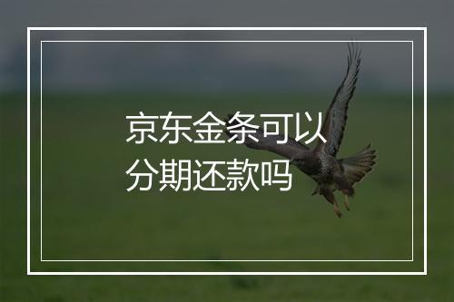 京东金条可以分期还款吗