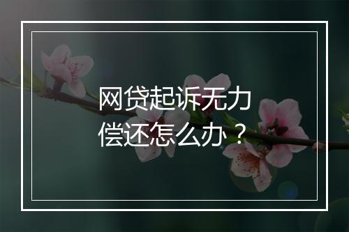 网贷起诉无力偿还怎么办？