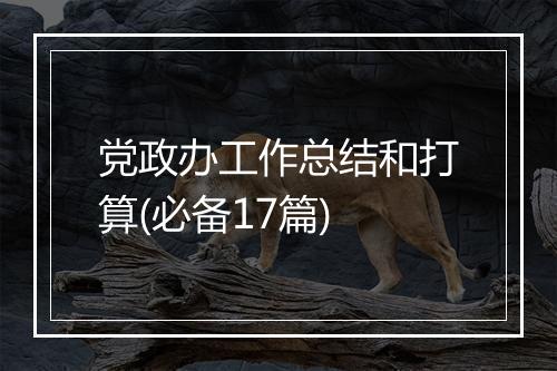 党政办工作总结和打算(必备17篇)