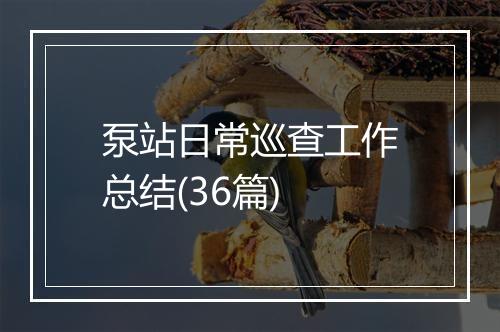 泵站日常巡查工作总结(36篇)