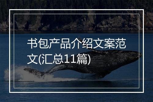 书包产品介绍文案范文(汇总11篇)