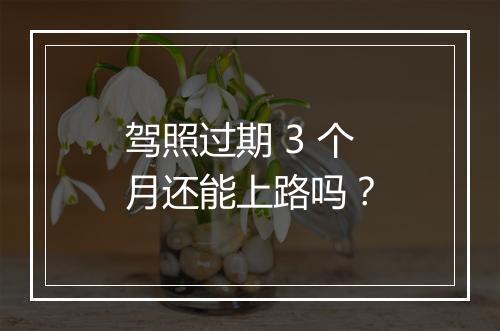 驾照过期 3 个月还能上路吗？
