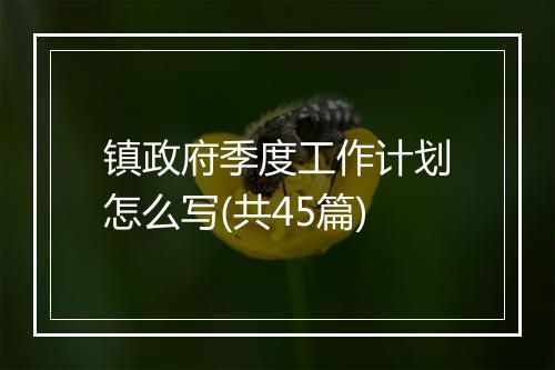 镇政府季度工作计划怎么写(共45篇)
