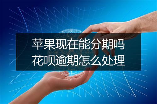 苹果现在能分期吗花呗逾期怎么处理