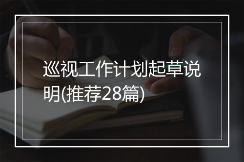 巡视工作计划起草说明(推荐28篇)