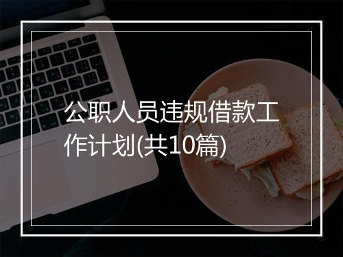 公职人员违规借款工作计划(共10篇)