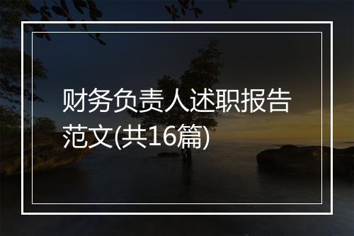 财务负责人述职报告范文(共16篇)