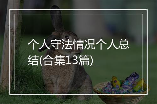 个人守法情况个人总结(合集13篇)