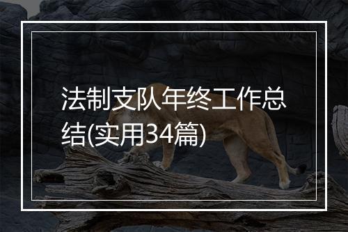 法制支队年终工作总结(实用34篇)
