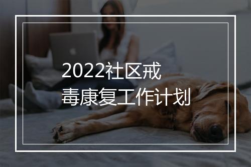 2022社区戒毒康复工作计划