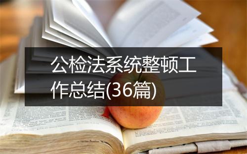 公检法系统整顿工作总结(36篇)