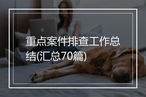 重点案件排查工作总结(汇总70篇)