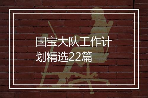 国宝大队工作计划精选22篇